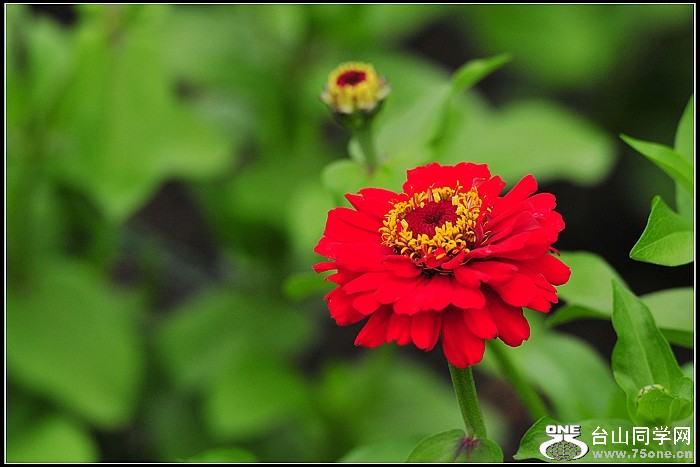 DSC_7113.JPG