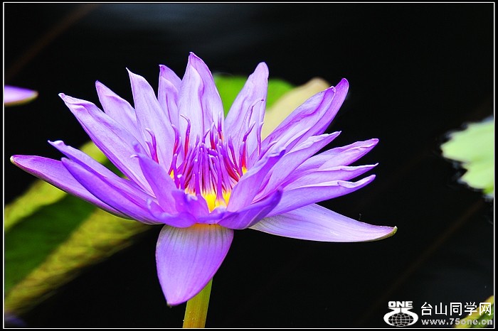 DSC_7700.JPG