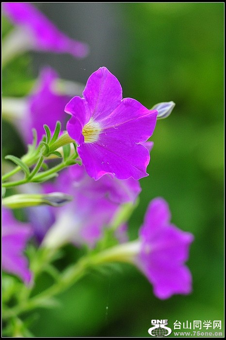 DSC_7899.JPG