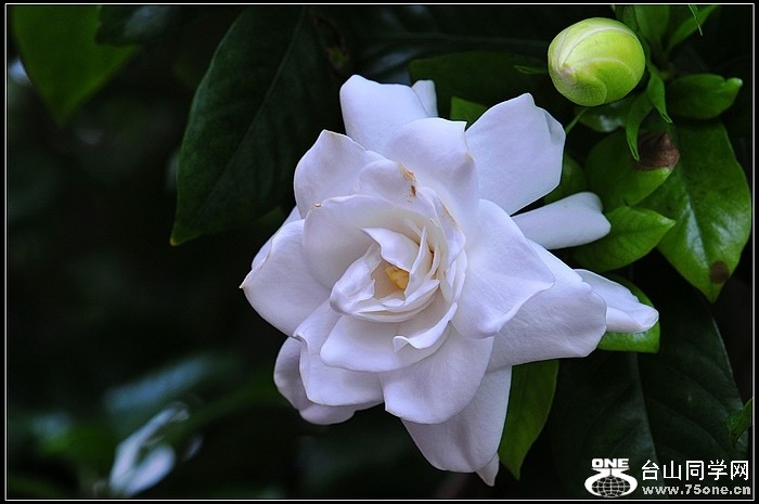 DSC_5597.JPG