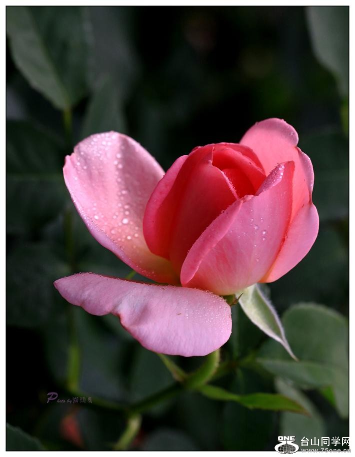 }u -IMG_9739cc.jpg