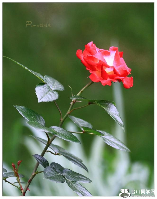 }u -IMG_9922cc.jpg