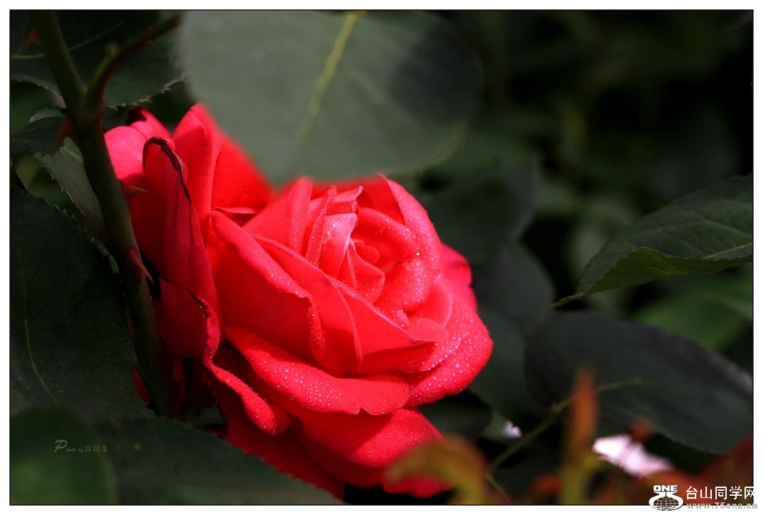 }u -IMG_9703cc.jpg