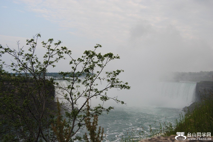 DSC_0183.JPG