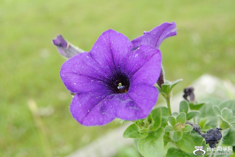 DSC_0084.JPG