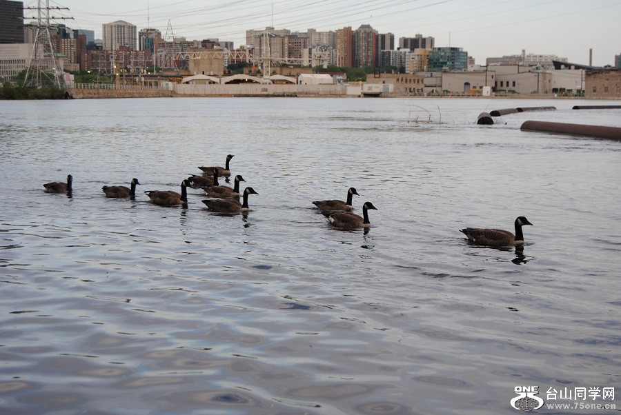 DSC_0081.JPG