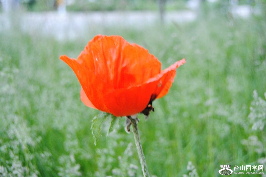DSC_0147.JPG