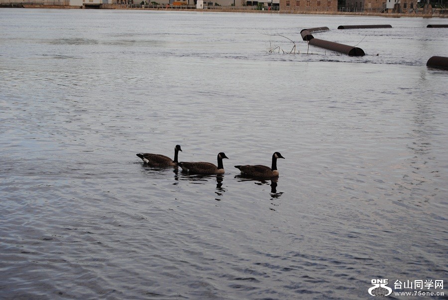 DSC_0078.JPG