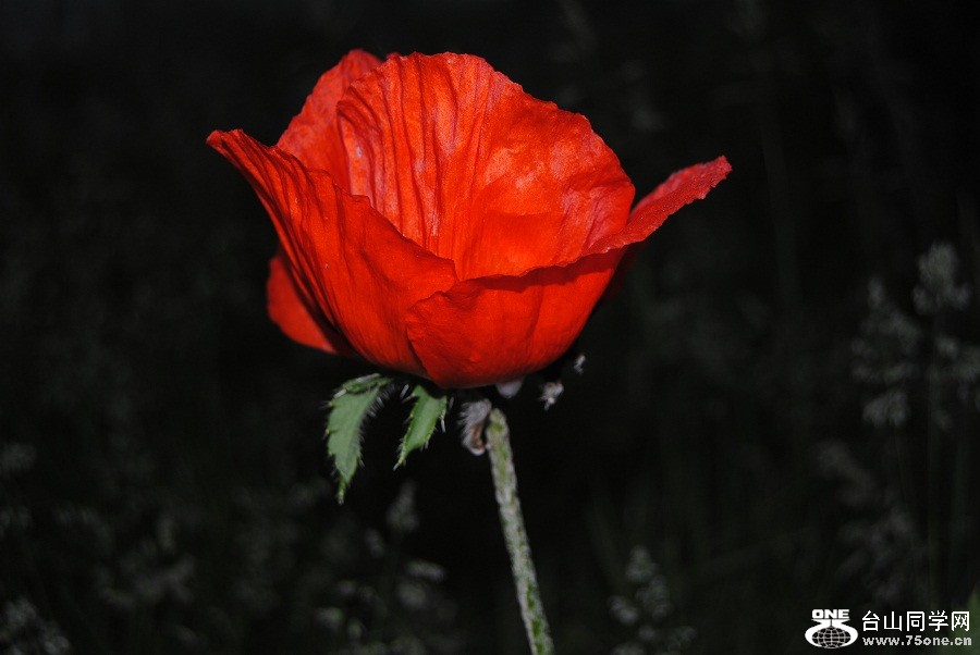 DSC_0148.JPG