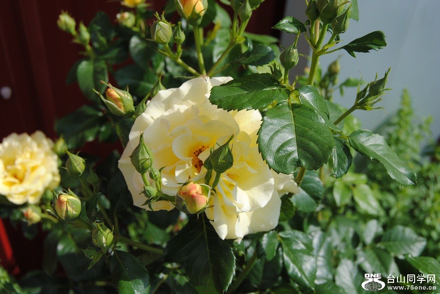 DSC_0490.JPG