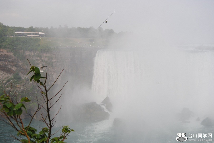 DSC_0216.JPG