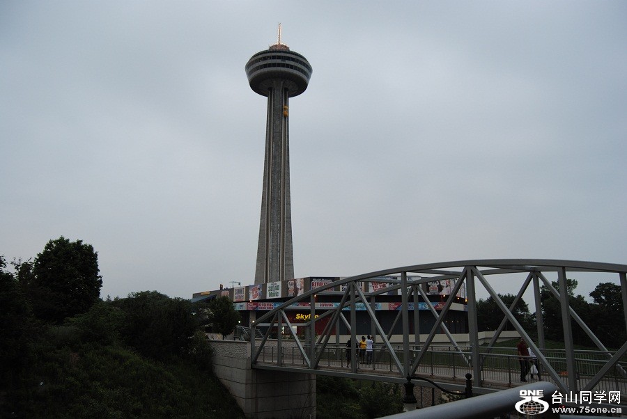 DSC_0305.JPG