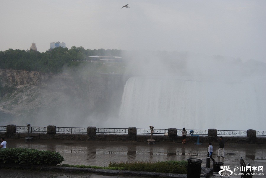 DSC_0247.JPG