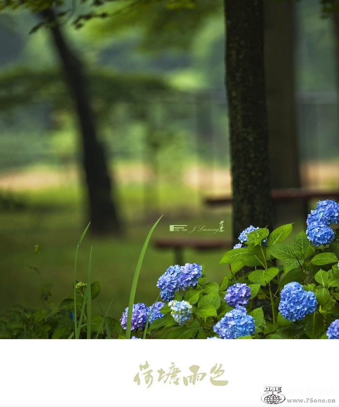 fDSD_7698.jpg