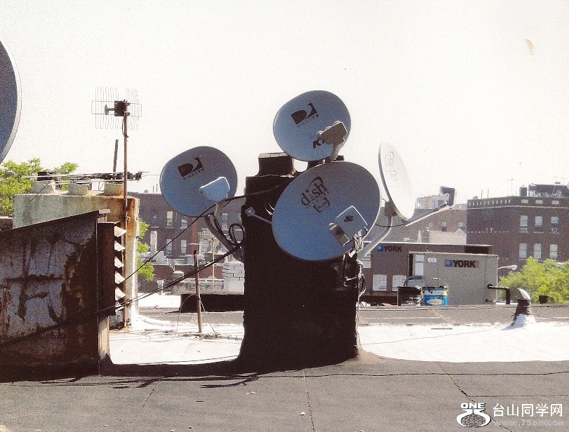 scan0003.jpg