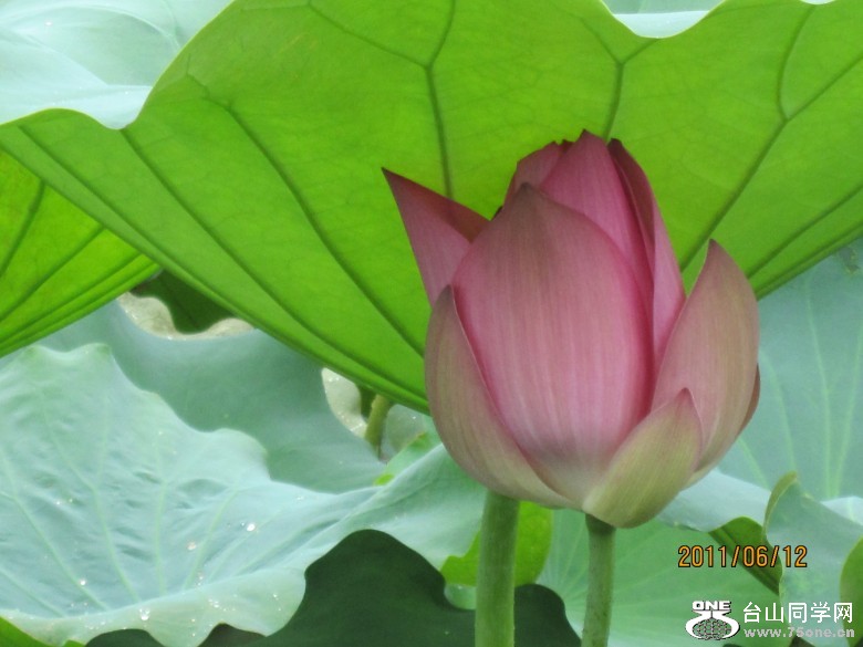 �ɻ�3 183_conew1.jpg