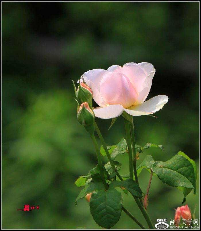 IMG_5286.jpg
