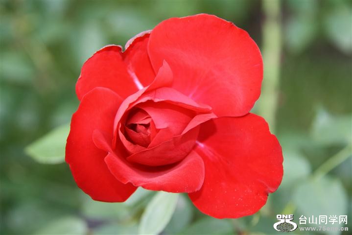 IMG_0217 (Small).JPG