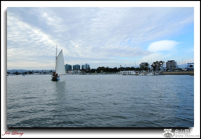 Picture 242.jpg