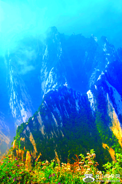 3041337123360023015_conew5.png