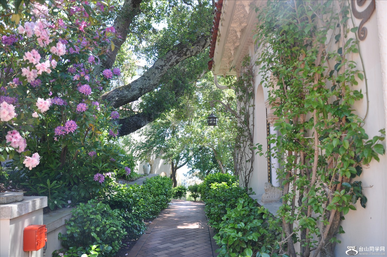 DSC_0370.JPG