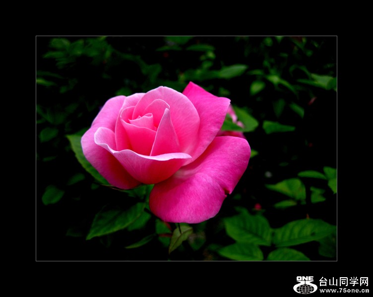 IMG_3376 copy.jpg