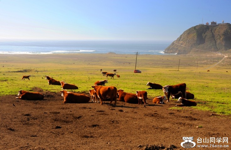DSC_6332.JPG