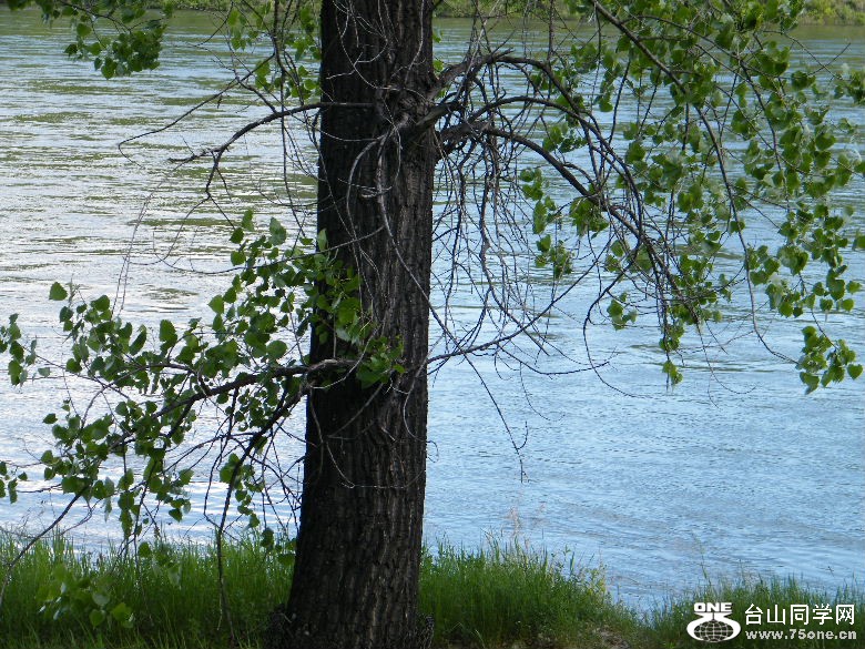 DSCF0011.JPG
