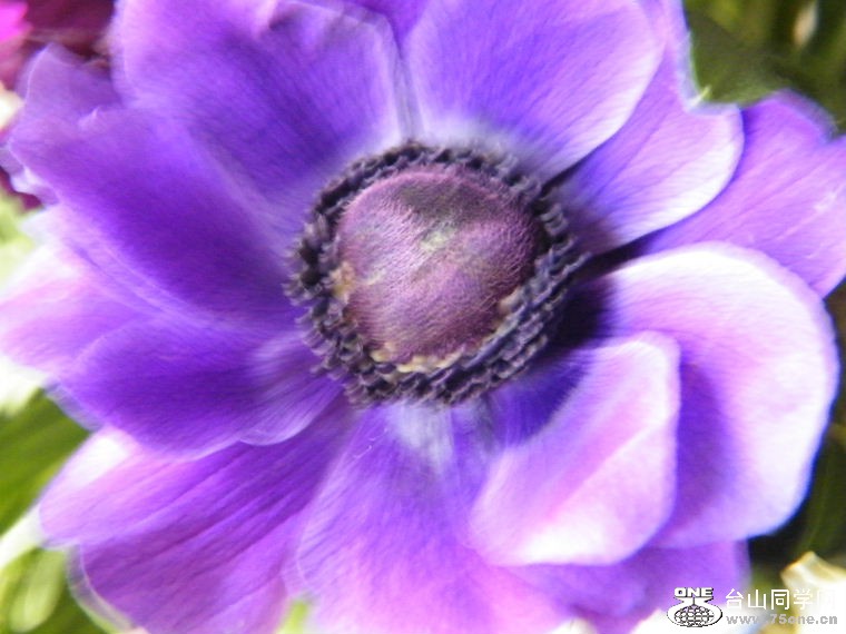 DSCF9136.JPG