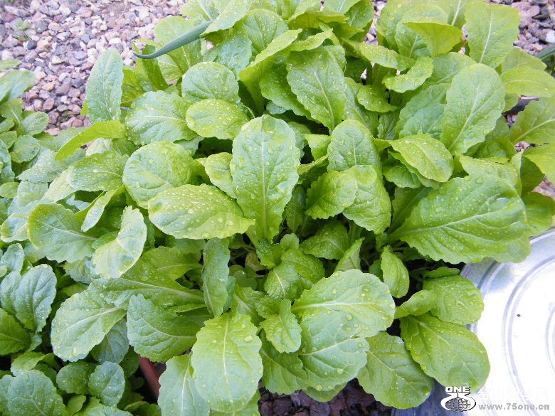 DSCF0221.JPG