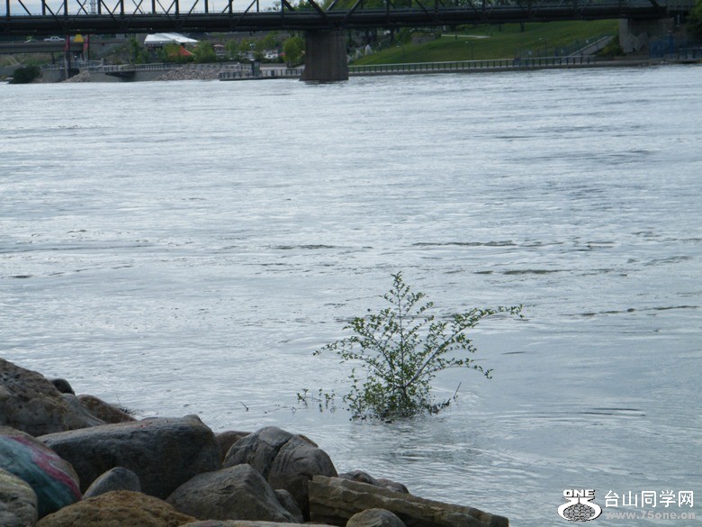 DSCF9705.JPG