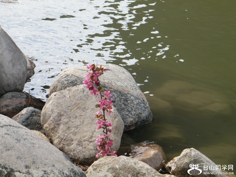 DSCF9706.JPG