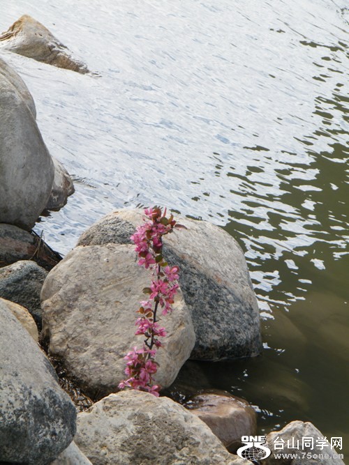 DSCF9707=0.jpg