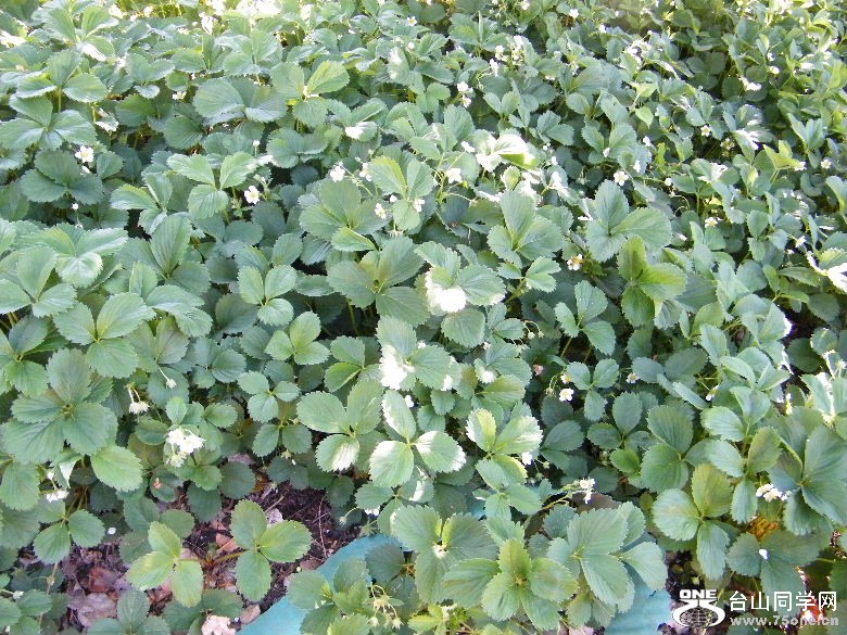 DSCF0240.JPG