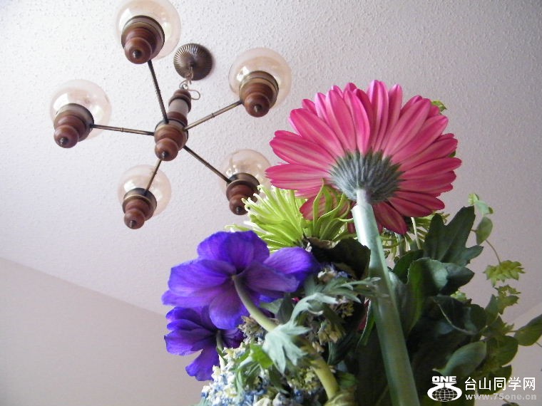 DSCF9222.JPG