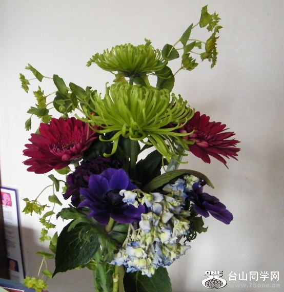 DSCF9133.JPG