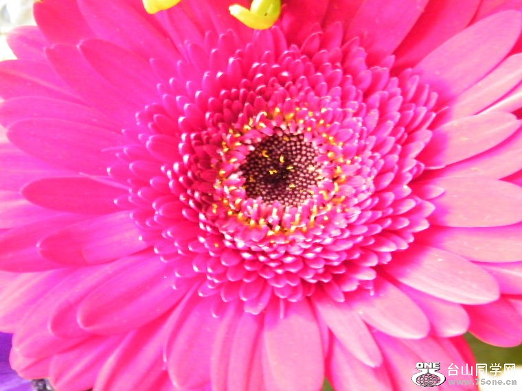 DSCF9135.JPG
