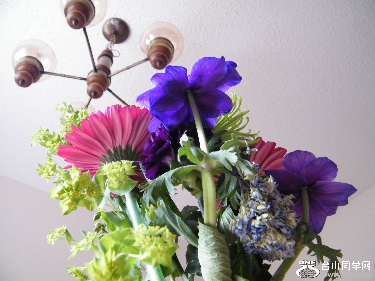 DSCF9223.JPG
