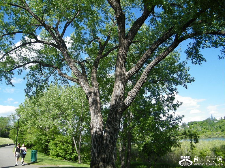 DSCF0030.JPG