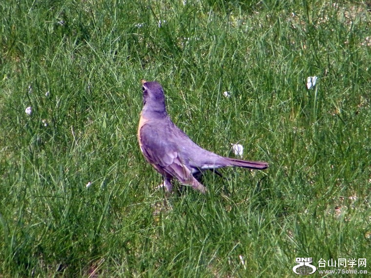 DSCF9540=0.JPG