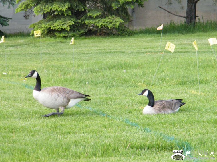 DSCF9945.JPG