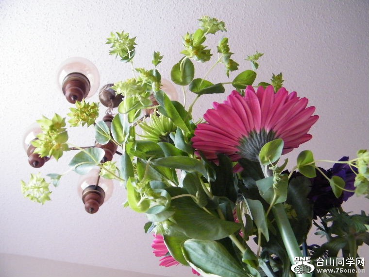 DSCF9221.JPG