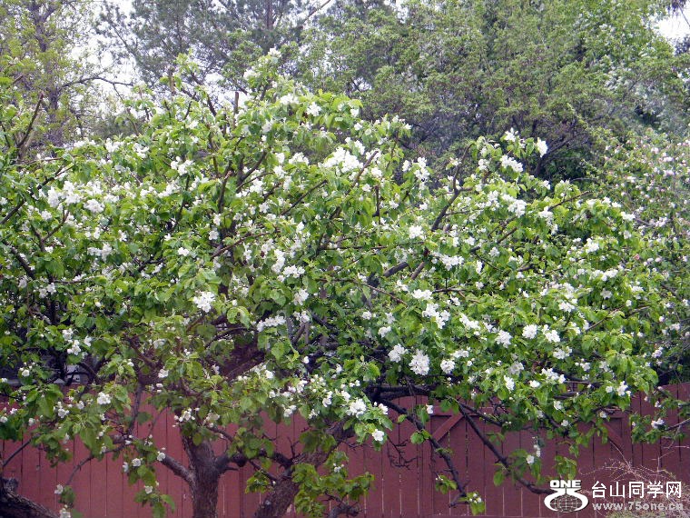 DSCF9219=0.jpg