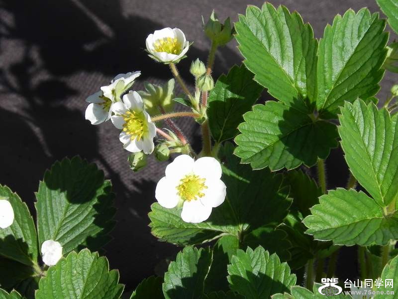 2010 023.jpg