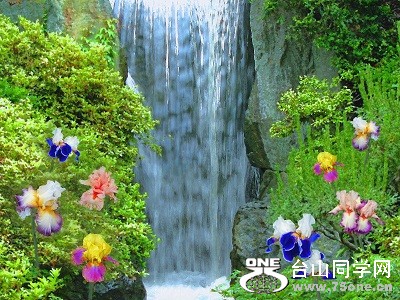 Painting of Waterfall and Iris Flowers [1].JPG