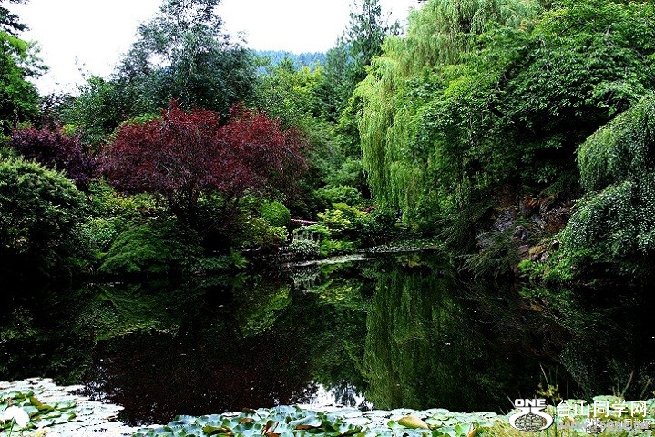 66_936_c16ea9dbb358839-copy.jpg