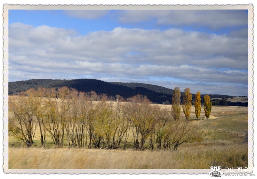_DSC0961_.jpg