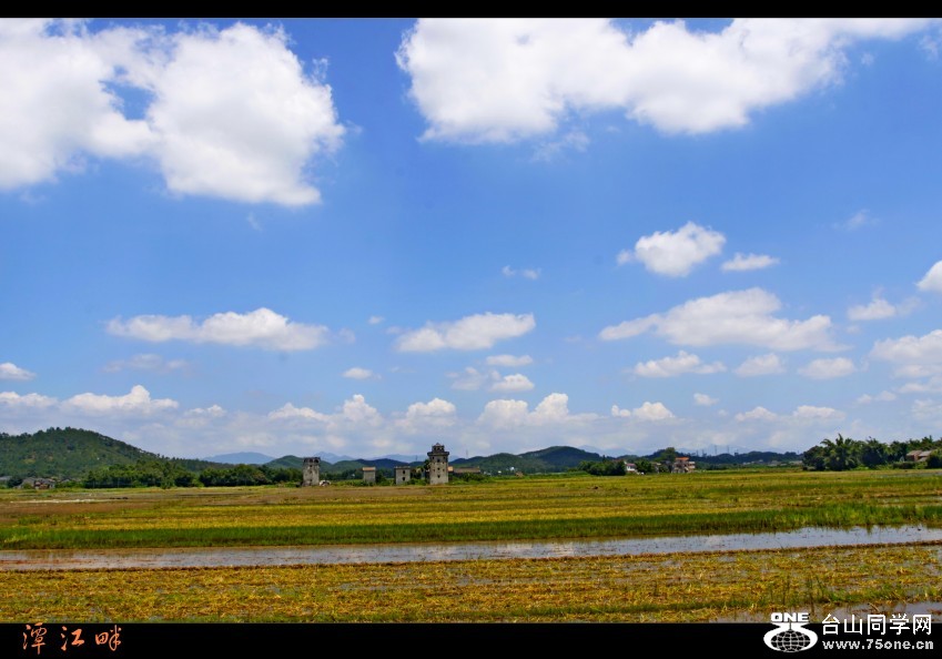 _MG_8046_conew1.jpg