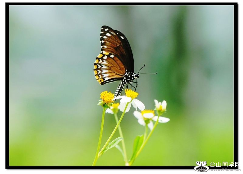 Ƭ 047.jpg