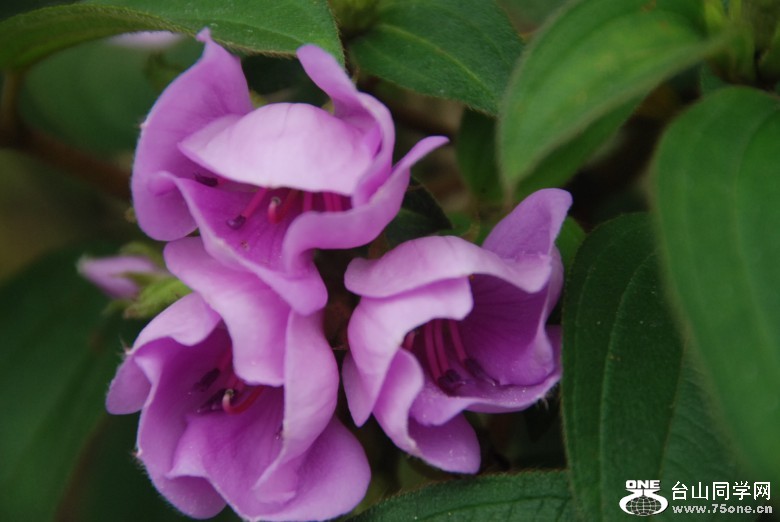 DSC_0542_conew1.jpg